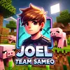 Joel 🐷Team Sameoeocheat🐷 - Tiktok Profile Picture of Joel 🐷Team Sameoeocheat🐷 (@joelbrawlstars11) on Tiktok