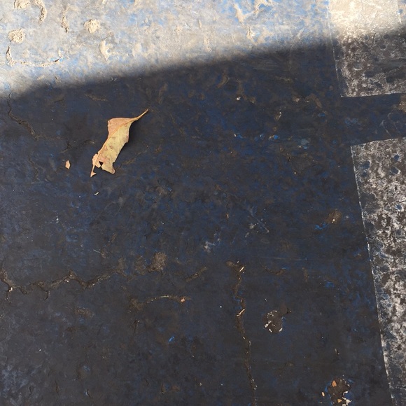 Profile Picture of Bryan Cortez (@bryanc790) on Poshmark