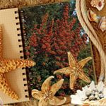 Profile Picture of Tuerkan david (@sevcan_ozoglu) on Instagram