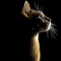 Profile Picture of Lady Noxx (@lady-noxx) on Quora