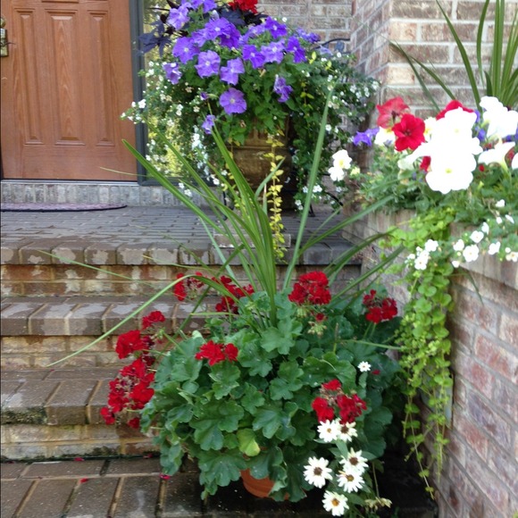 Profile Picture of Tute Kurtev (@tute1) on Poshmark