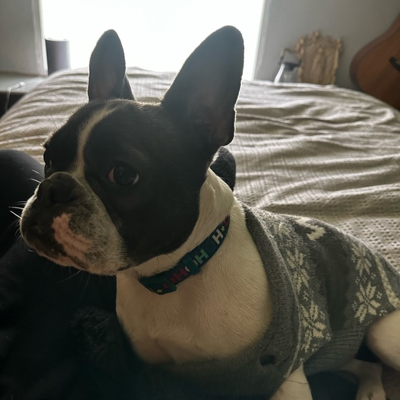 Profile Picture of Galen Rodriguez (@goodguygalen04) on Poshmark