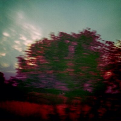 Profile Picture of Jami Hobbs (@JamiHobbs) on Twitter