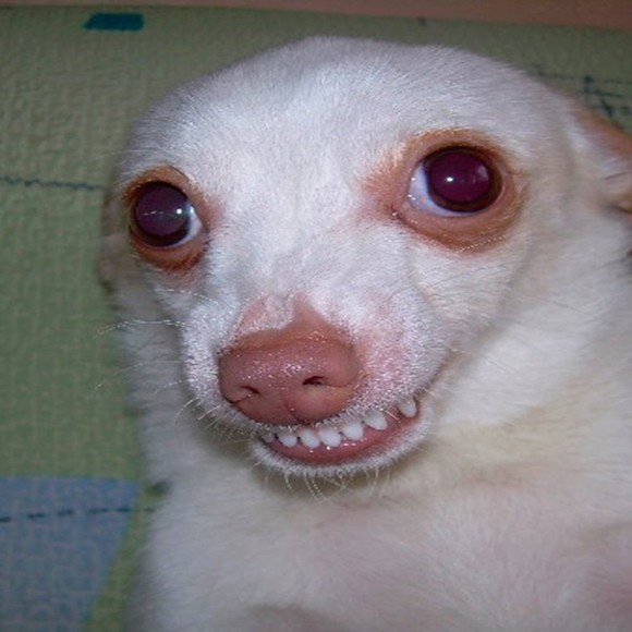 Profile Picture of Mark Enderson (@endeana) on Poshmark