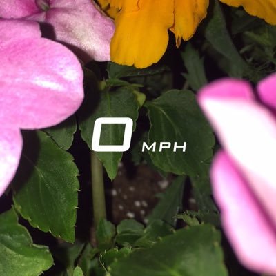 Profile Picture of Lindsey Serpas (@LindseySerpas) on Twitter