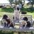Profile Picture of Raymond-Cheryl Seibert (@raymondseibert) on Pinterest
