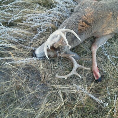 Profile Picture of Derek Severson (@severson_derek) on Twitter