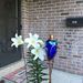 Profile Picture of Jay Rudy (@jaywrudy) on Pinterest