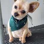 Profile Picture of Lucy Elder (@lucy.elder) on Facebook