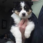 Profile Picture of Kevin Petty (@petty4490) on Instagram