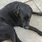 Profile Picture of Myles Robertson (@myles_robertson22) on Instagram