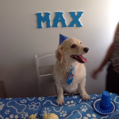 Profile Picture of Max Junior Sena (@MaxSenaOficial) on Twitter