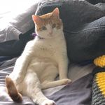 Profile Picture of Zachary Vance (@zach._.vance) on Instagram