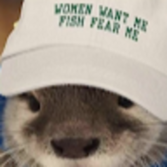 Profile Picture of Anthony Lopardo (@anthonylopardo) on Poshmark