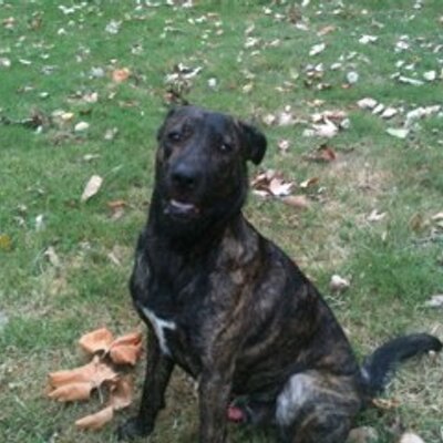 Profile Picture of Michael Kreitz (@michael_kreitz) on Twitter