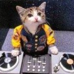 Profile Picture of Richard Olsen (@rolsen545) on Instagram