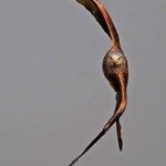 Profile Picture of Joe Heffernan (@joeheff2015) on Instagram