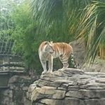 David Botham - Instagram Profile Picture of David Botham (@bothamdavid) on Instagram