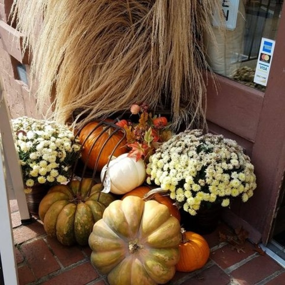 Profile Picture of Bobbie Carter (@oldbiddy6174) on Poshmark