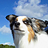 Profile Picture of joancrawford12 (@joancrawford12) on Flickr
