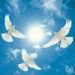 Profile Picture of Andrea Fike (@afike1026) on Pinterest
