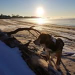 Profile Picture of paula page (@pippinsbooks) on Instagram