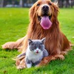 Profile Picture of jayson burns (@burns_jayson) on Instagram