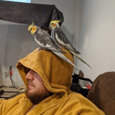 Profile Picture of Chase Cook (The Tiels Are Poe And Stanley) (@chaseacook) on Twitter