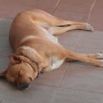 Profile Picture of Elias Stavridis (@elias.stavridis.5) on Facebook