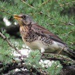 Profile Picture of Bournehall (@bournehallf) on Instagram