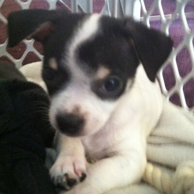 Profile Picture of Gary (@iam_poor) on Twitter