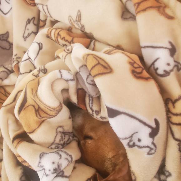 Profile Picture of Ashley Droelle (@ashleyd415) on Poshmark