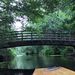Profile Picture of Derrick Wilkinson (@wilkodel) on Pinterest