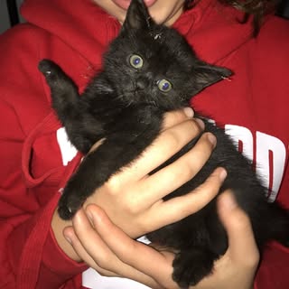 Profile Picture of Dusty (@dustyreynolds_) on Instagram