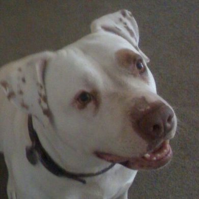 Profile Picture of Cathy Reyna (@caqr_reyna) on Twitter