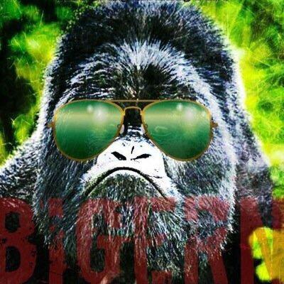 Profile Picture of Brian McGrattan (@bigern10) on Twitter