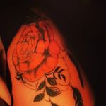 Profile Picture of Matei Kullai Brenda (@kullaibrenda) on Instagram
