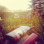 Profile Picture of Sean Kovacs (@vaxxine) on Instagram