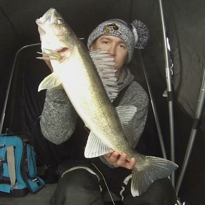 Profile Picture of Nate Seeger (@SeegerNate) on Twitter