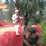 Profile Picture of Ajfos (@antoine_foster_) on Instagram