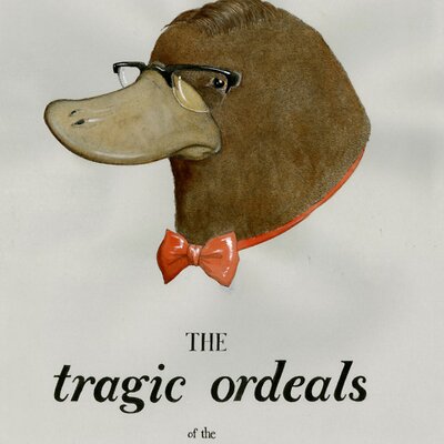 Profile Picture of Bill Melnyk (@MikeBaudic) on Twitter