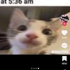 Profile Picture of kenneth playes vido games (@kennethplayes) on Tiktok