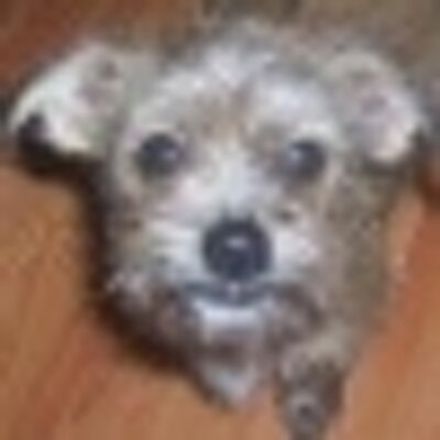 Profile Picture of Heather Phillips (@kitty10343) on Twitter