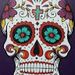 Profile Picture of Scott Pope (@hobbyscottpope) on Pinterest