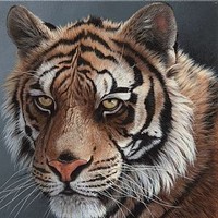 Profile Picture of Joseph Wilde (@joseph-wilde-1) on Quora