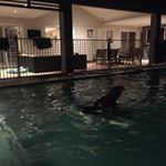 Profile Picture of Jay - Renovation (@jayrenovate) on Instagram