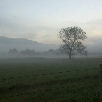 Joe Domzalski - Twitter Profile Picture of Joe Domzalski (@joe_domzalski) on Twitter