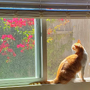 Profile Picture of Alyssa Carrier (@alyssacarrier2982) on Youtube