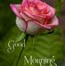Profile Picture of Joseph Vardhan (@joseph.vardhan.5) on Facebook