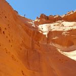 Profile Picture of Scott Owen (@scottgowen85) on Instagram